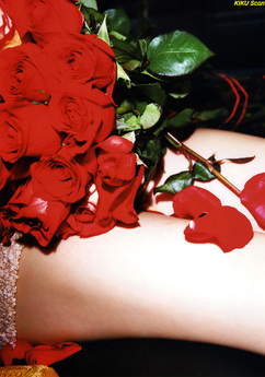 �O�c�֎q�W�S