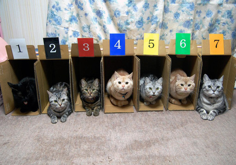 �i����j