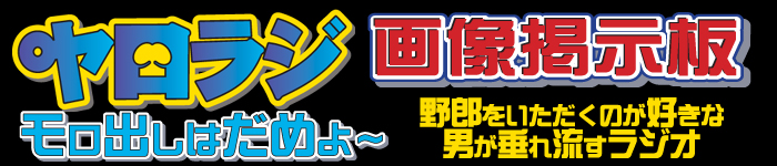 �������W�p�摜�f����