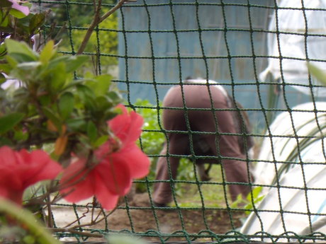 ���S�l�אl�k����